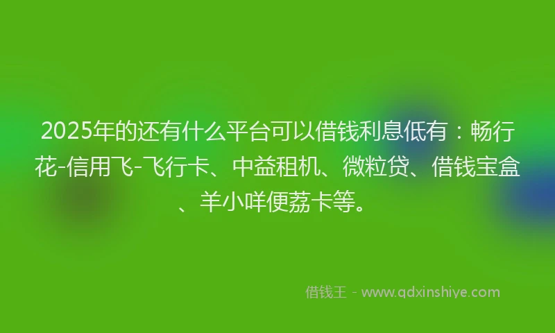 2025年的还有什么平台可以借钱利息低有：畅行花-信用飞-飞行卡、中益租机、微粒贷、借钱宝盒、羊小咩便荔卡等。