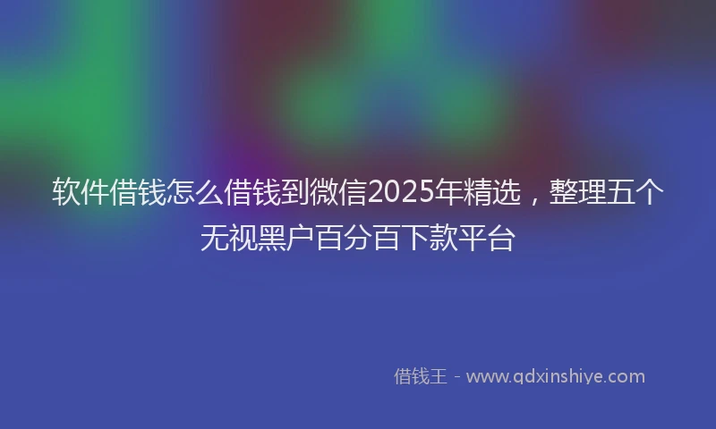 软件借钱怎么借钱到微信2025年精选，整理五个无视黑户百分百下款平台