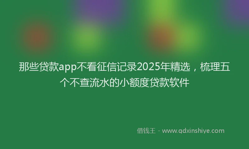 那些贷款app不看征信记录2025年精选，梳理五个不查流水的小额度贷款软件