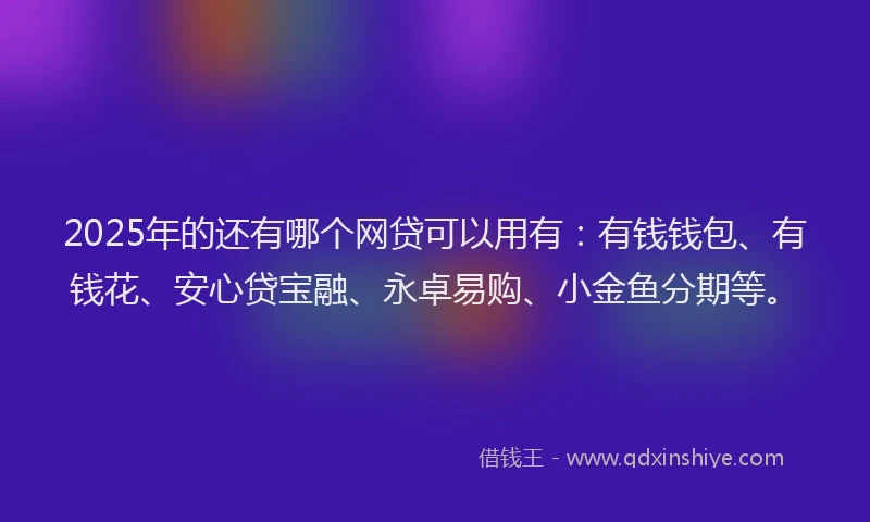 2025年的还有哪个网贷可以用有：有钱钱包、有钱花、安心贷宝融、永卓易购、小金鱼分期等。