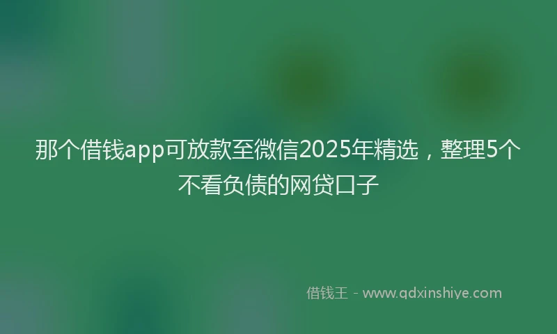 那个借钱app可放款至微信2025年精选，整理5个不看负债的网贷口子