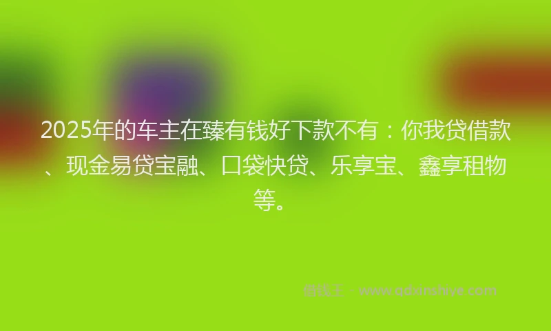 2025年的车主在臻有钱好下款不有：你我贷借款、现金易贷宝融、口袋快贷、乐享宝、鑫享租物等。