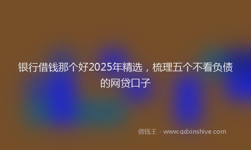 银行借钱那个好2025年精选，梳理五个不看负债的网贷口子