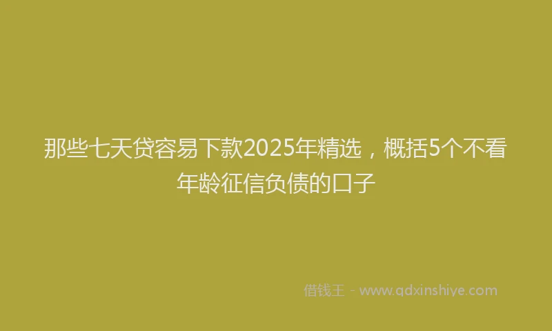 那些七天贷容易下款2025年精选，概括5个不看年龄征信负债的口子