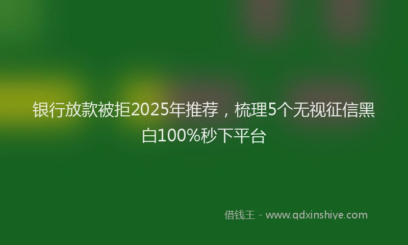银行放款被拒2025年推荐，梳理5个无视征信黑白100%秒下平台