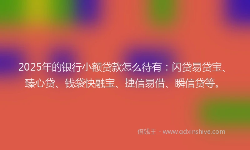 2025年的银行小额贷款怎么待有：闪贷易贷宝、臻心贷、钱袋快融宝、捷信易借、瞬信贷等。