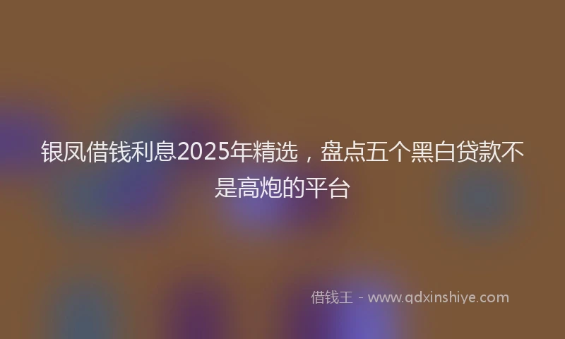 银凤借钱利息2025年精选，盘点五个黑白贷款不是高炮的平台