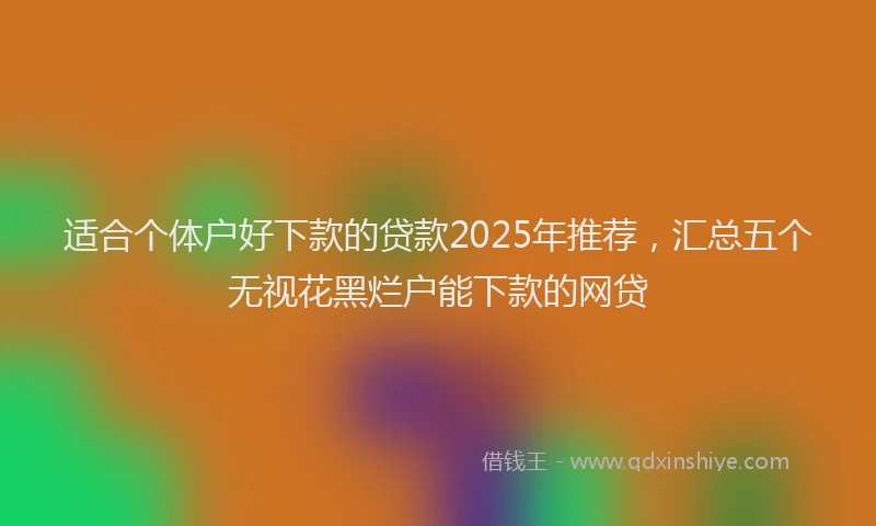 适合个体户好下款的贷款2025年推荐，汇总五个无视花黑烂户能下款的网贷