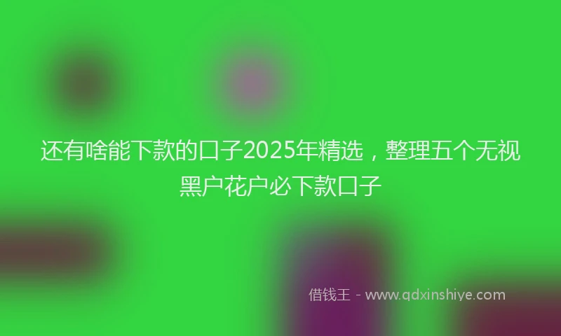 还有啥能下款的口子2025年精选，整理五个无视黑户花户必下款口子