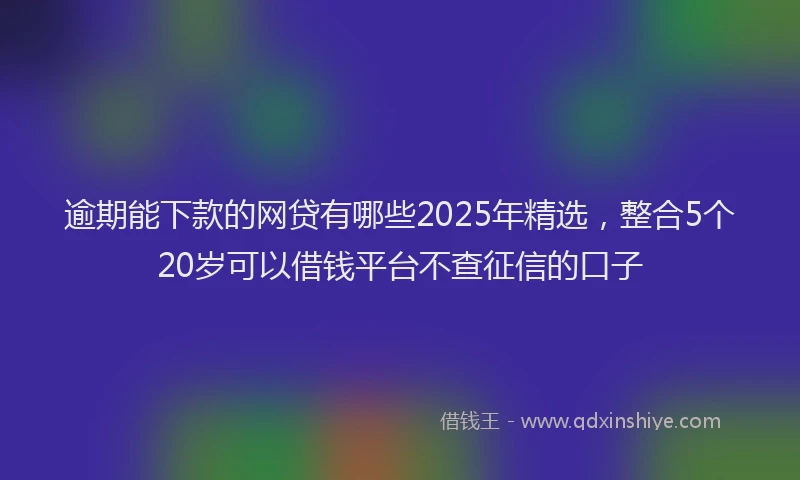 逾期能下款的网贷有哪些2025年精选，整合5个20岁可以借钱平台不查征信的口子