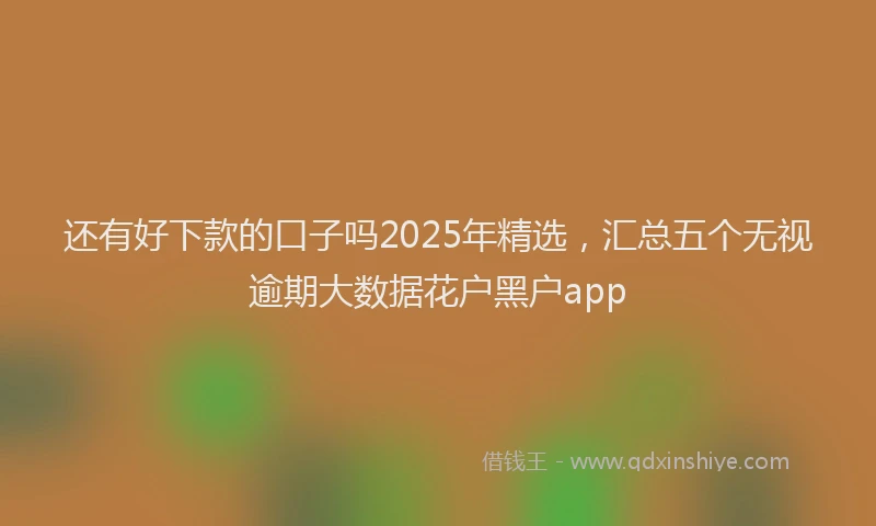 还有好下款的口子吗2025年精选，汇总五个无视逾期大数据花户黑户app