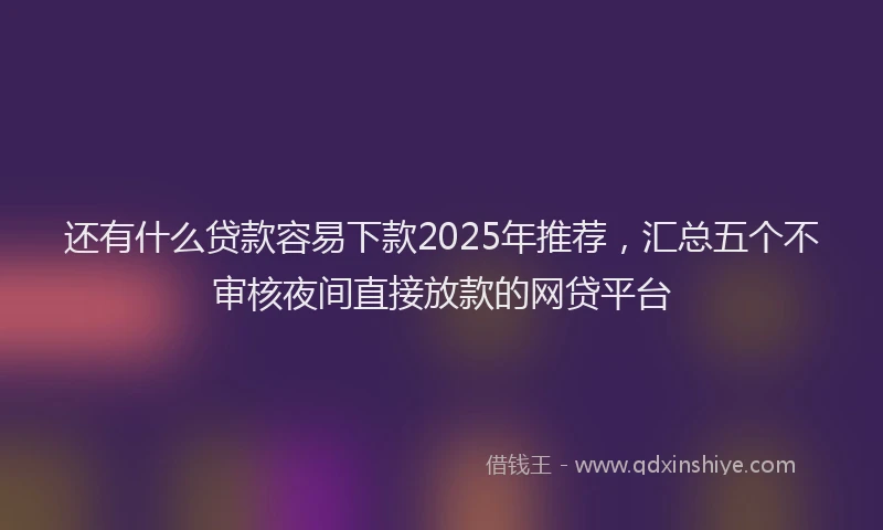 还有什么贷款容易下款2025年推荐，汇总五个不审核夜间直接放款的网贷平台