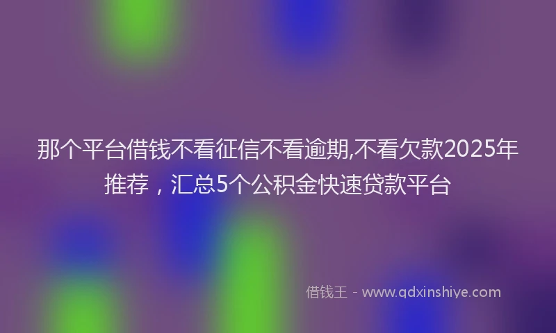 那个平台借钱不看征信不看逾期,不看欠款2025年推荐，汇总5个公积金快速贷款平台