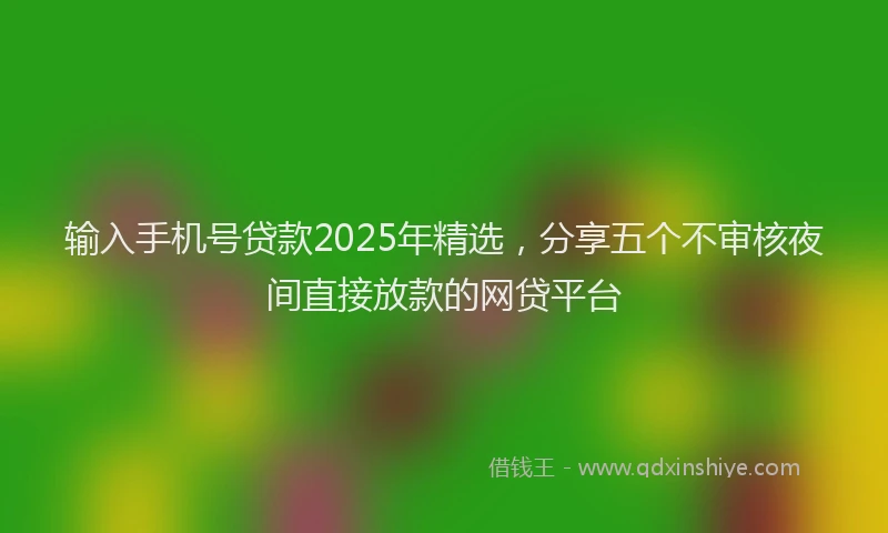 输入手机号贷款2025年精选，分享五个不审核夜间直接放款的网贷平台