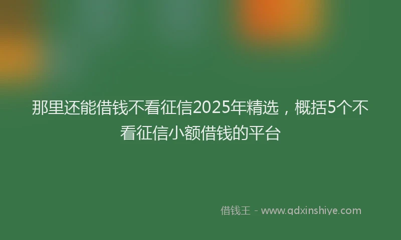 那里还能借钱不看征信2025年精选，概括5个不看征信小额借钱的平台