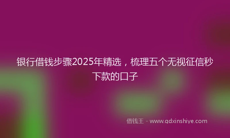 银行借钱步骤2025年精选，梳理五个无视征信秒下款的口子