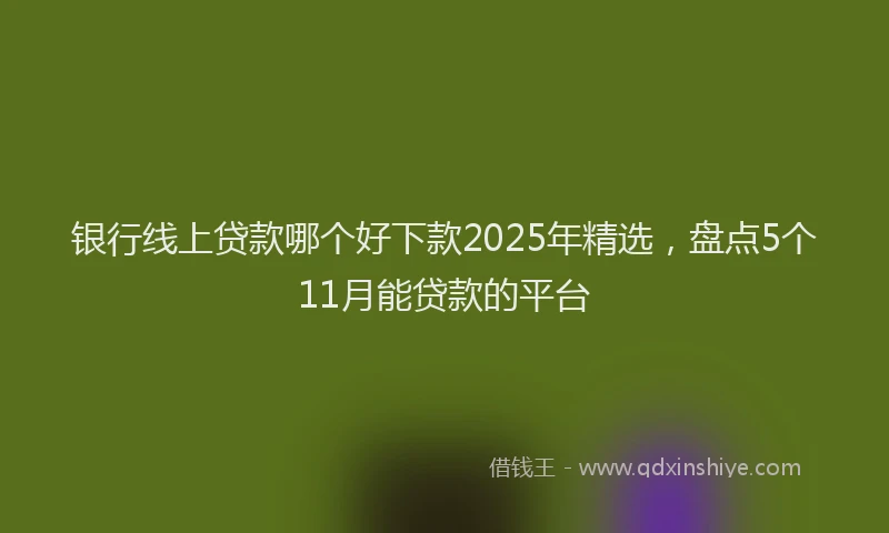 银行线上贷款哪个好下款2025年精选，盘点5个11月能贷款的平台
