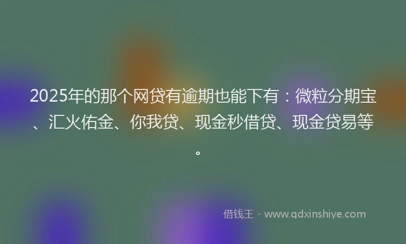2025年的那个网贷有逾期也能下有：微粒分期宝、汇火佑金、你我贷、现金秒借贷、现金贷易等。