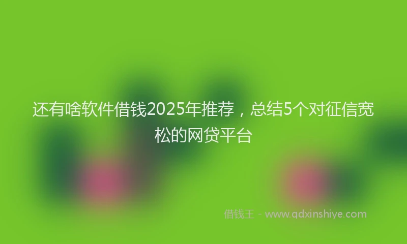 还有啥软件借钱2025年推荐，总结5个对征信宽松的网贷平台
