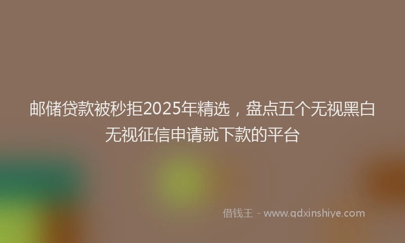 邮储贷款被秒拒2025年精选，盘点五个无视黑白无视征信申请就下款的平台