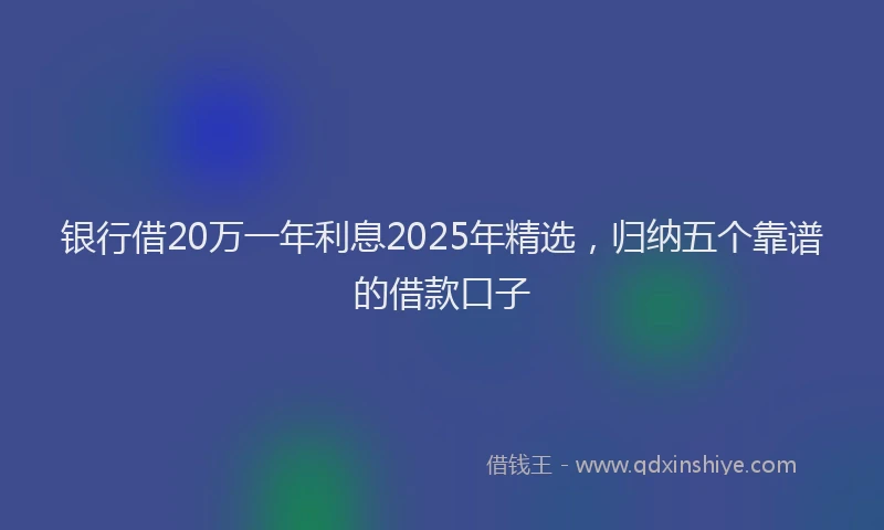 银行借20万一年利息2025年精选，归纳五个靠谱的借款口子