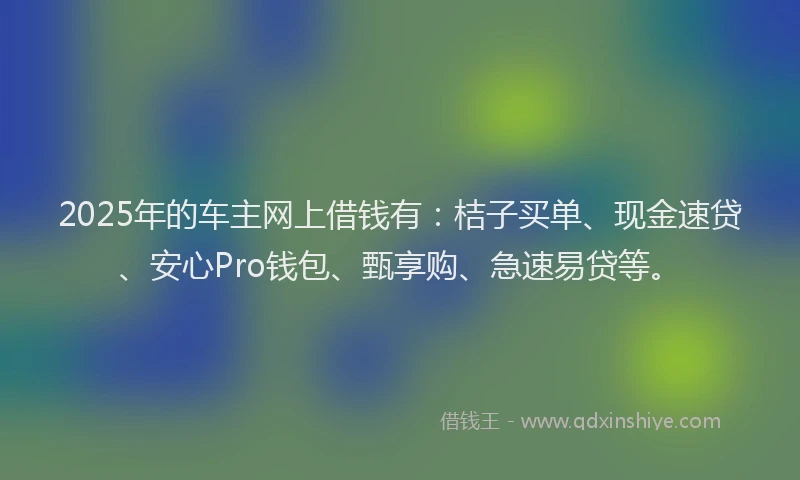 2025年的车主网上借钱有：桔子买单、现金速贷、安心Pro钱包、甄享购、急速易贷等。