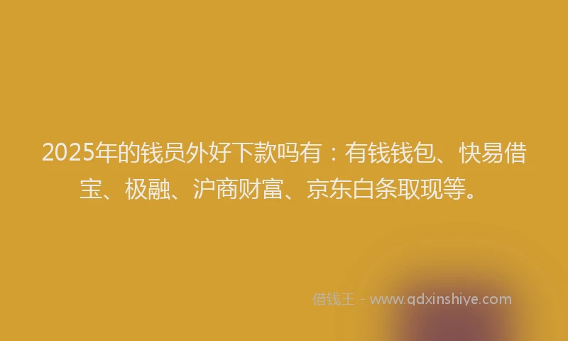 2025年的钱员外好下款吗有：有钱钱包、快易借宝、极融、沪商财富、京东白条取现等。