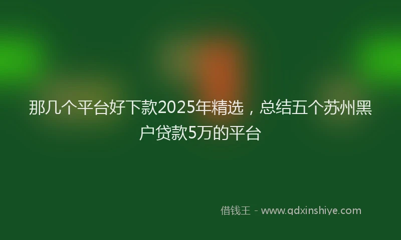 那几个平台好下款2025年精选，总结五个苏州黑户贷款5万的平台