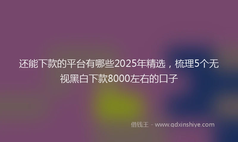 还能下款的平台有哪些2025年精选，梳理5个无视黑白下款8000左右的口子