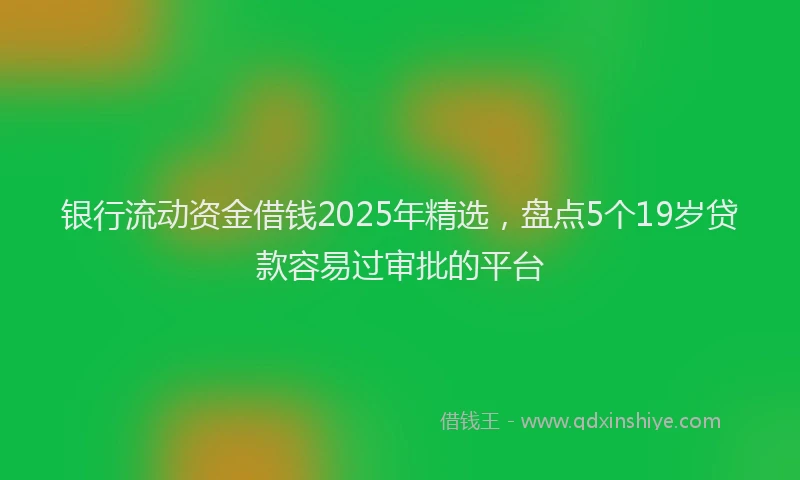 银行流动资金借钱2025年精选，盘点5个19岁贷款容易过审批的平台