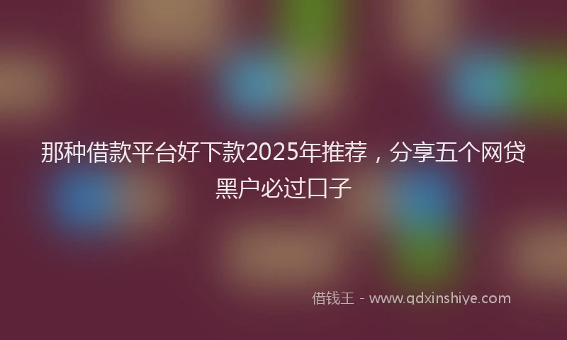 那种借款平台好下款2025年推荐，分享五个网贷黑户必过口子
