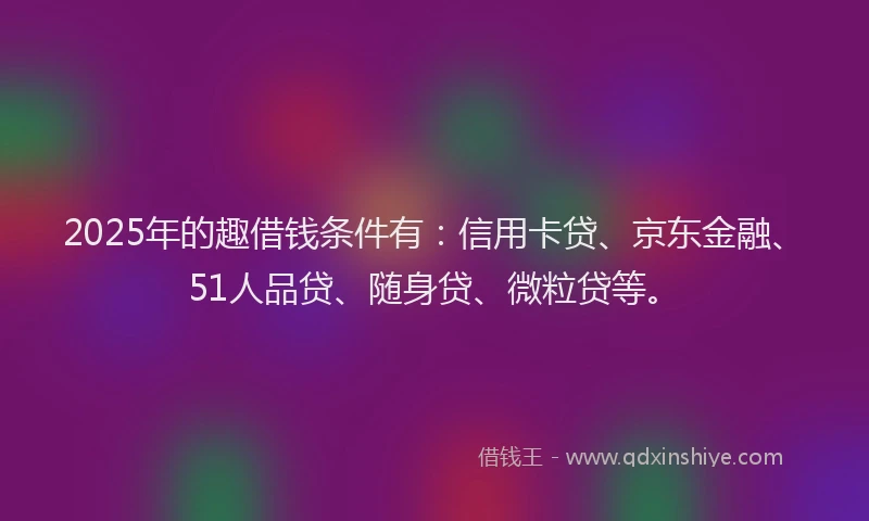 2025年的趣借钱条件有：信用卡贷、京东金融、51人品贷、随身贷、微粒贷等。