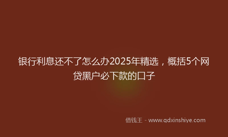 银行利息还不了怎么办2025年精选，概括5个网贷黑户必下款的口子