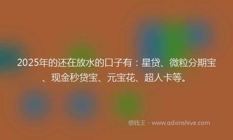 2025年的还在放水的口子有：星贷、微粒分期宝、现金秒贷宝、元宝花、超人卡等。