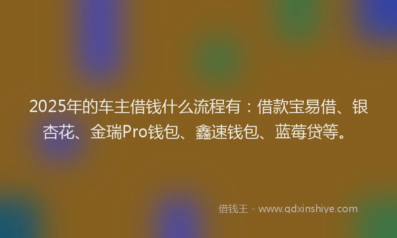 2025年的车主借钱什么流程有：借款宝易借、银杏花、金瑞Pro钱包、鑫速钱包、蓝莓贷等。