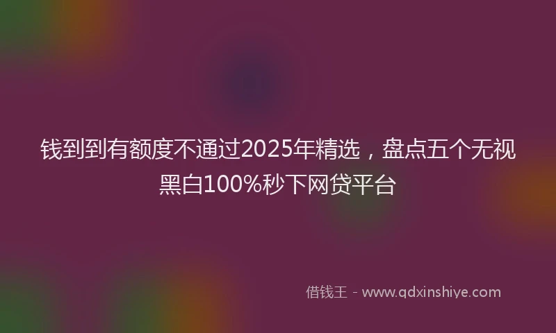 钱到到有额度不通过2025年精选，盘点五个无视黑白100%秒下网贷平台