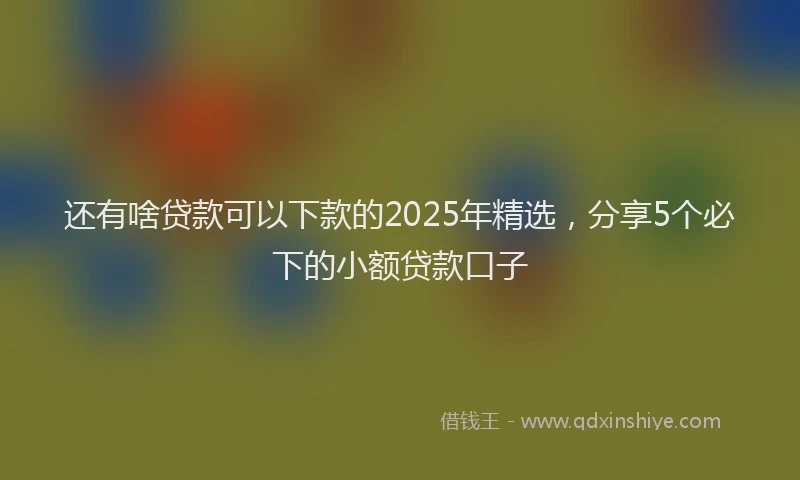 还有啥贷款可以下款的2025年精选，分享5个必下的小额贷款口子