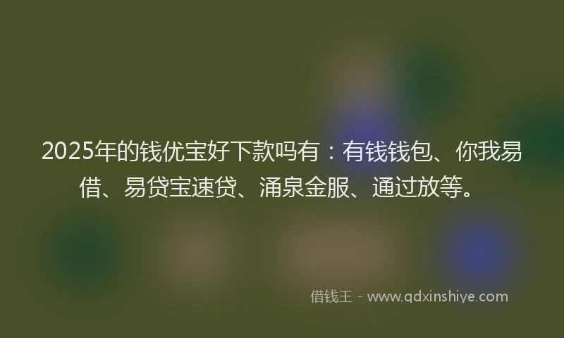 2025年的钱优宝好下款吗有：有钱钱包、你我易借、易贷宝速贷、涌泉金服、通过放等。