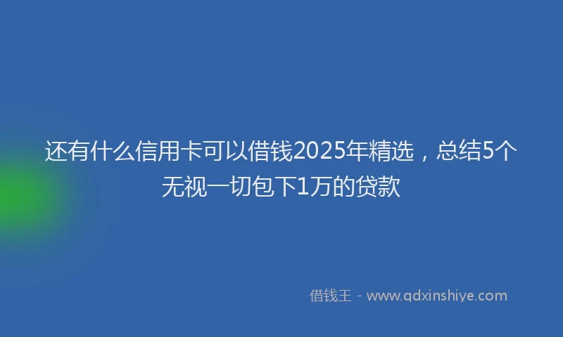 还有什么信用卡可以借钱2025年精选，总结5个无视一切包下1万的贷款