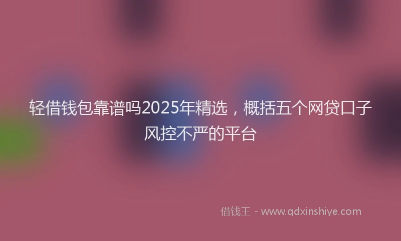 轻借钱包靠谱吗2025年精选，概括五个网贷口子风控不严的平台