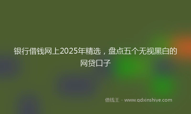 银行借钱网上2025年精选，盘点五个无视黑白的网贷口子
