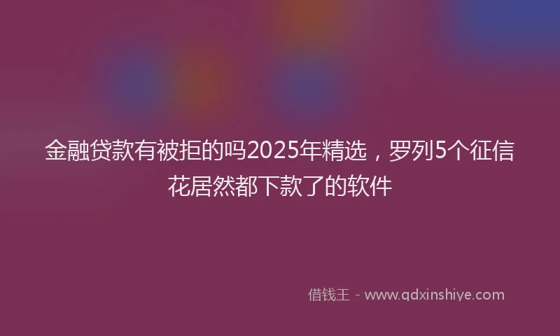 金融贷款有被拒的吗2025年精选，罗列5个征信花居然都下款了的软件