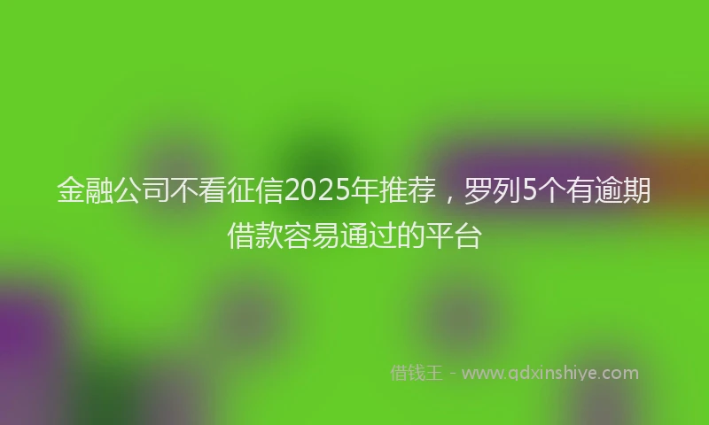 金融公司不看征信2025年推荐，罗列5个有逾期借款容易通过的平台
