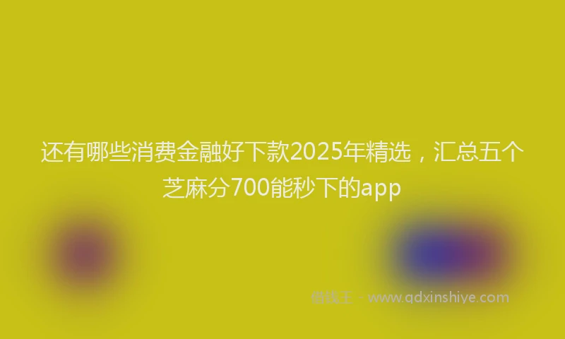还有哪些消费金融好下款2025年精选，汇总五个芝麻分700能秒下的app