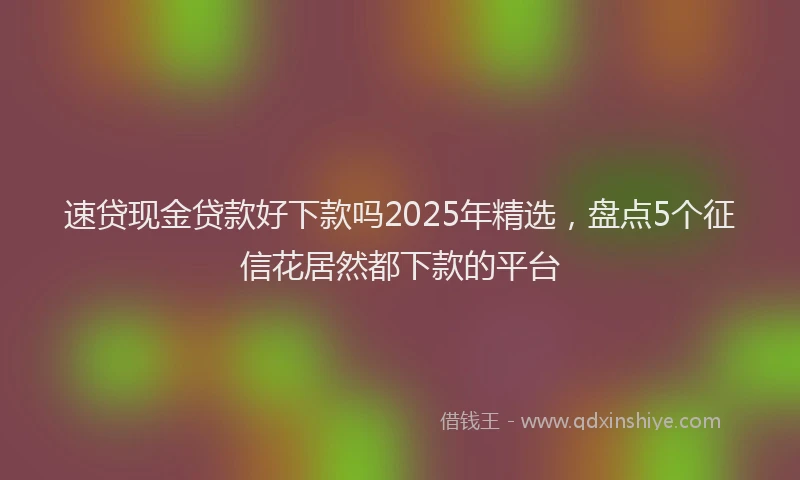 速贷现金贷款好下款吗2025年精选，盘点5个征信花居然都下款的平台