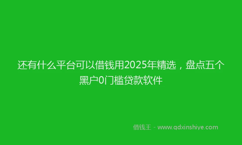 还有什么平台可以借钱用2025年精选，盘点五个黑户0门槛贷款软件