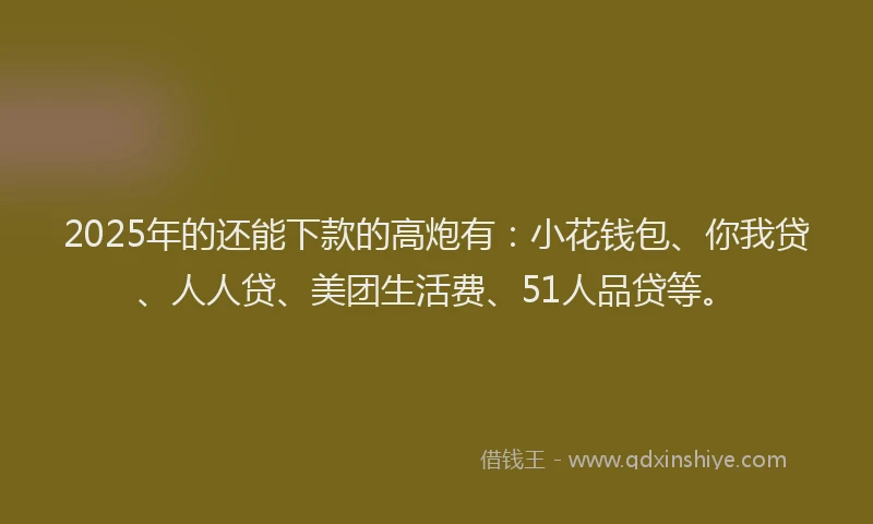 2025年的还能下款的高炮有：小花钱包、你我贷、人人贷、美团生活费、51人品贷等。