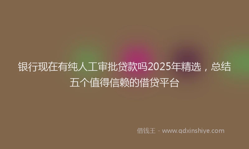 银行现在有纯人工审批贷款吗2025年精选，总结五个值得信赖的借贷平台