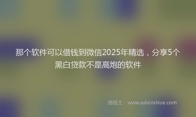 那个软件可以借钱到微信2025年精选，分享5个黑白贷款不是高炮的软件