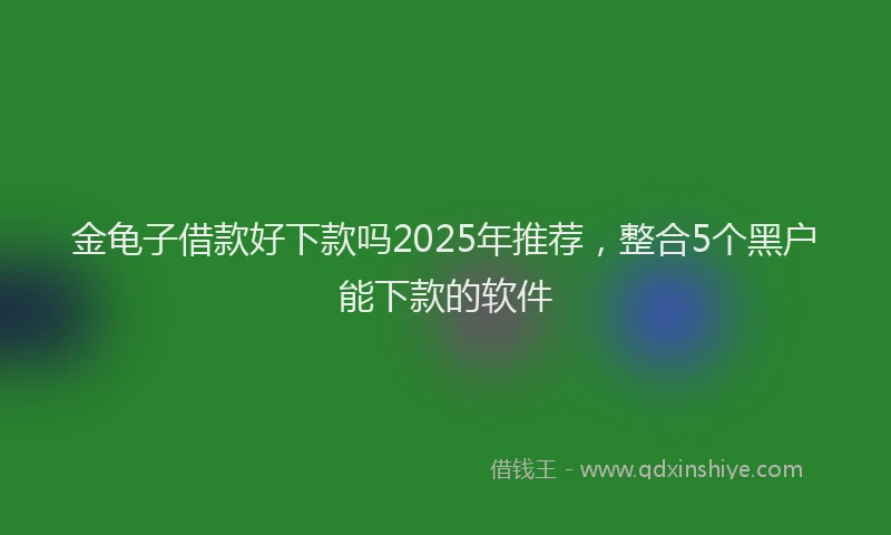 金龟子借款好下款吗2025年推荐，整合5个黑户能下款的软件